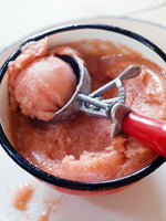 Davidson's Plum  and Summer Peach Sorbet