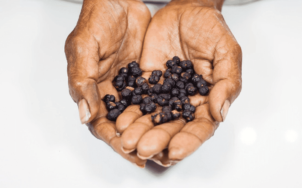 Outback Spirit Pure Native Herbs Bundle - The Herb and Spice Collection