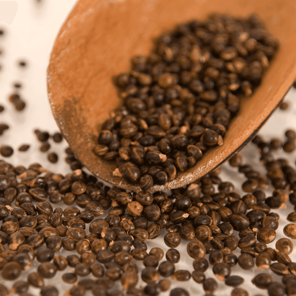 Outback Spirit Salts and Seasonings Wattleseed and Garlic Dukkah