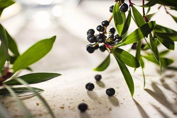 Outback Spirit Spiced Rubs Smokey Pepperleaf Texas Spiced Rub 100g