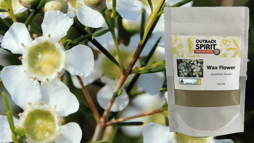 Geraldton Wax Flower Superfruit Powder - Outback Spirit