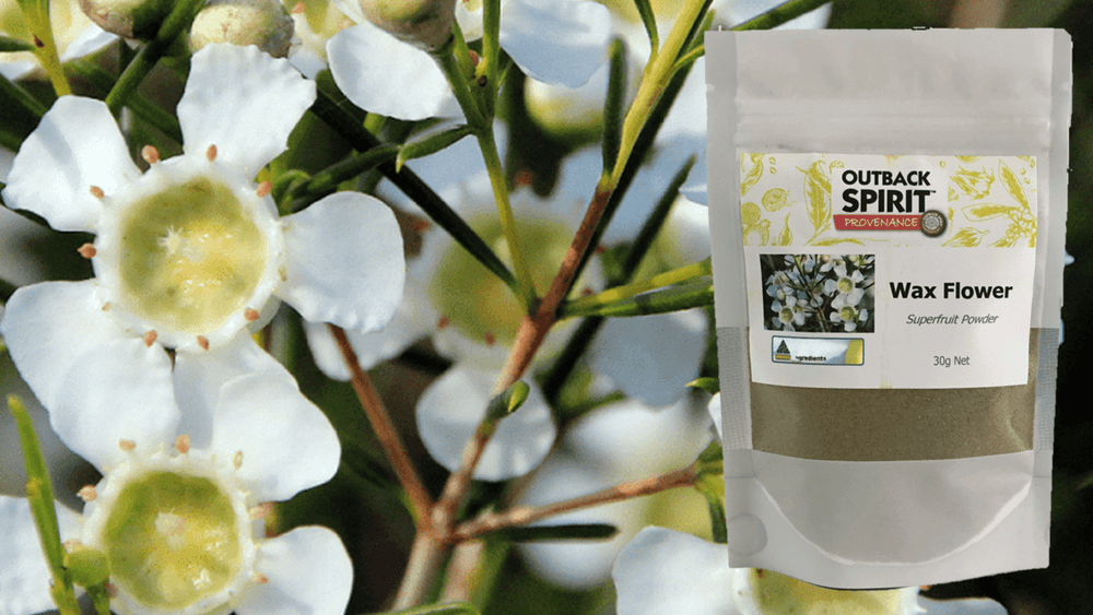 Geraldton Wax Flower Superfruit Powder - two sizes available - Outback Spirit