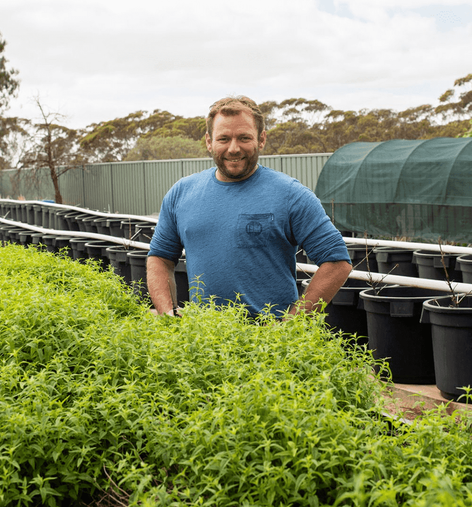 Outback Spirit Mango and Rivermint Relish Mango & Rivermint Relish  240g